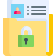 Data Security Icon